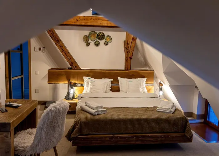 Wanderer Sighisoara Hotel